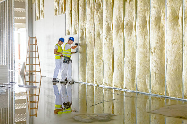 Best Geographic-Specific Insulation Services in Griswold, IA